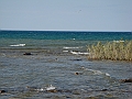 Western Michigan [2010] 842